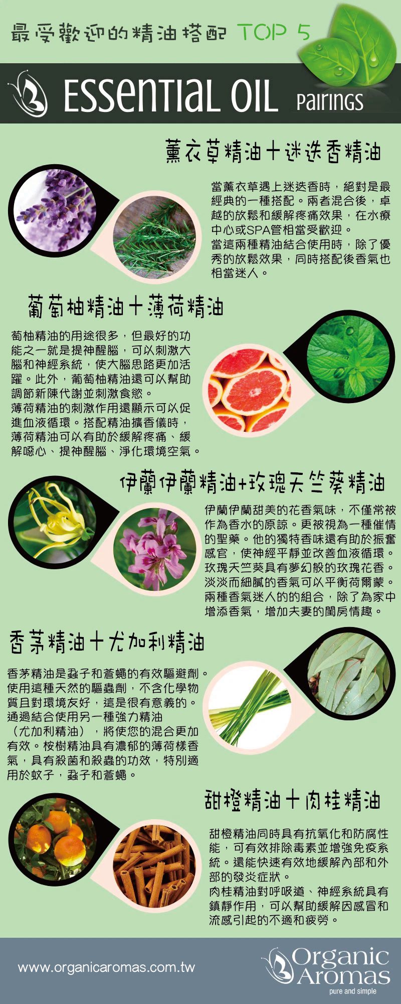 最受歡迎的精油搭配