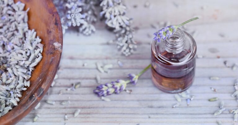 essential oil from lavender in bottle and dried flowers in bowl