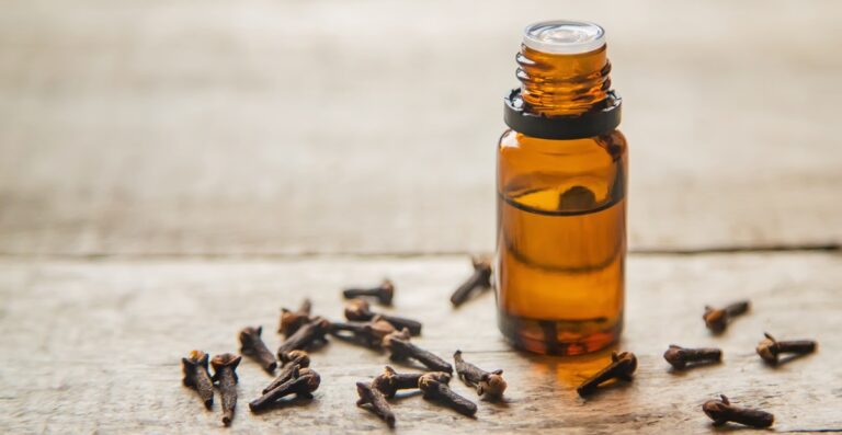 Clove essential oil in a small bottle. Selective focus.