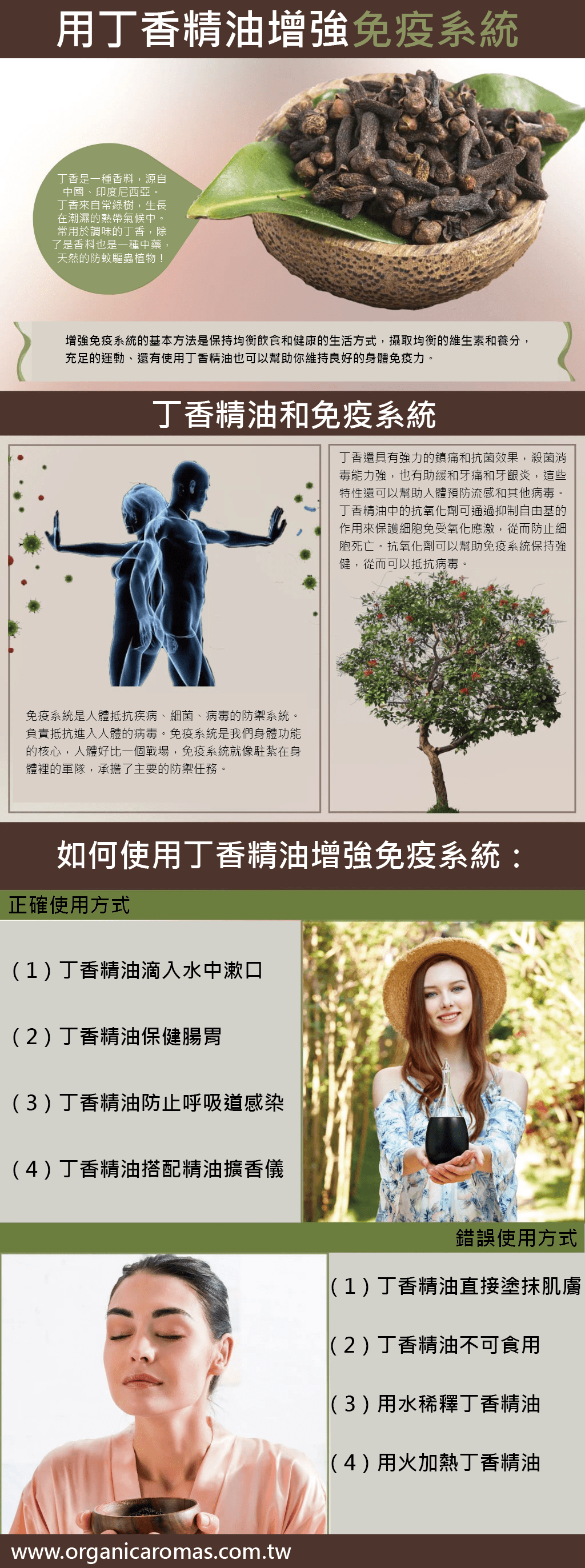 丁香精油增強您的免疫系統