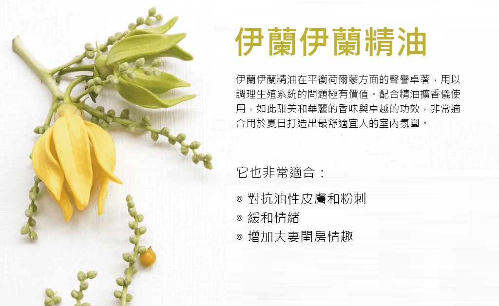 伊蘭精油