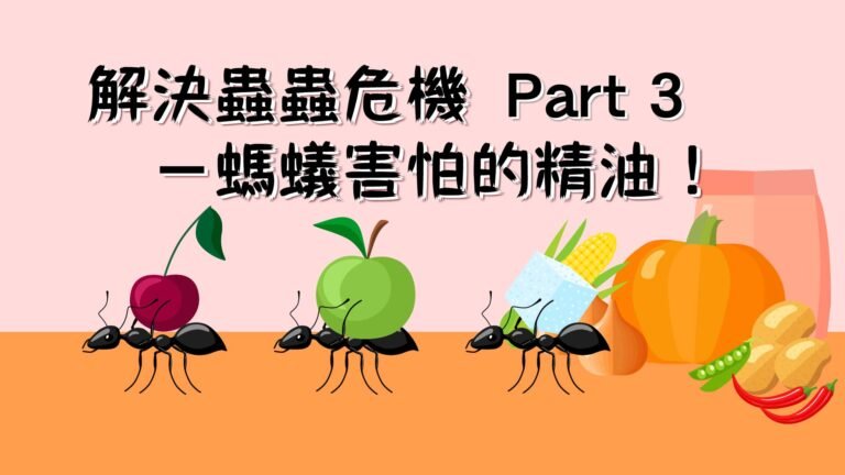 解決蟲蟲危機 Part 3－螞蟻害怕的精油！