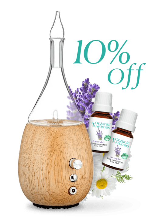 10% off dicount banner