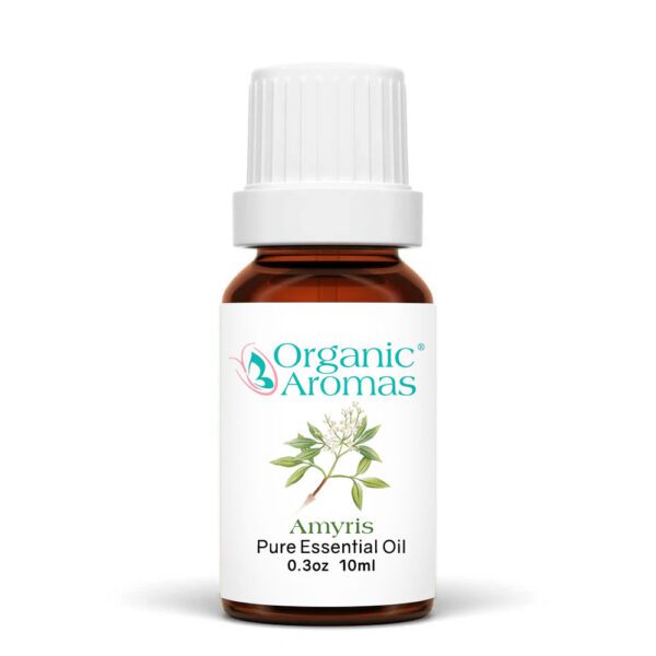 阿米香樹精油-10ml 阿米香樹精油 10ml