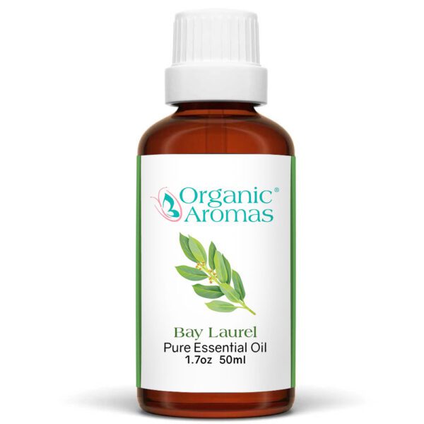 月桂精油-50ml 月桂精油 50ml