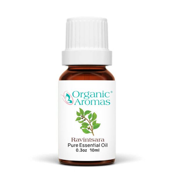 羅文莎葉精油 10ml 羅文莎葉精油 10ml