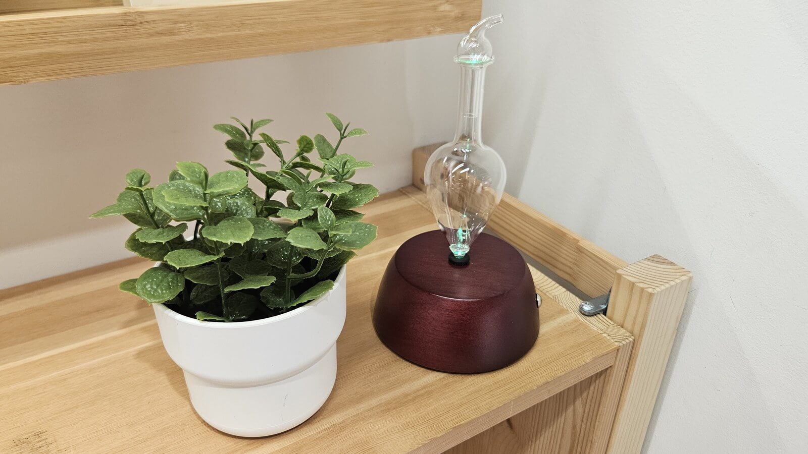 酒紅色木座的不用加水擴香儀,放在木層架上、旁邊有綠色盆栽