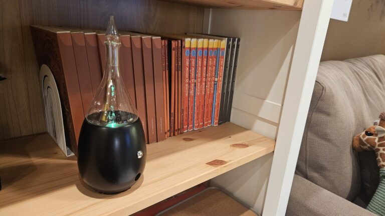 黑色底座玻璃擴香儀，擺在木質書架上的居家空間